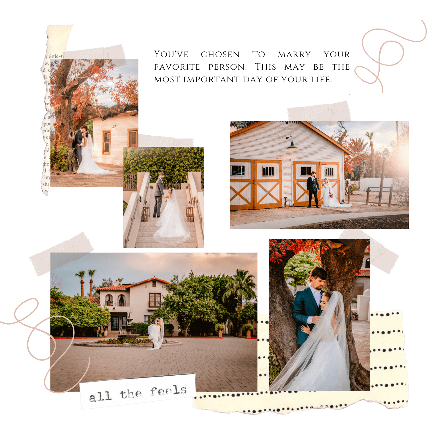 wedding, photography, photo, photographer, phoenix, az, arizona