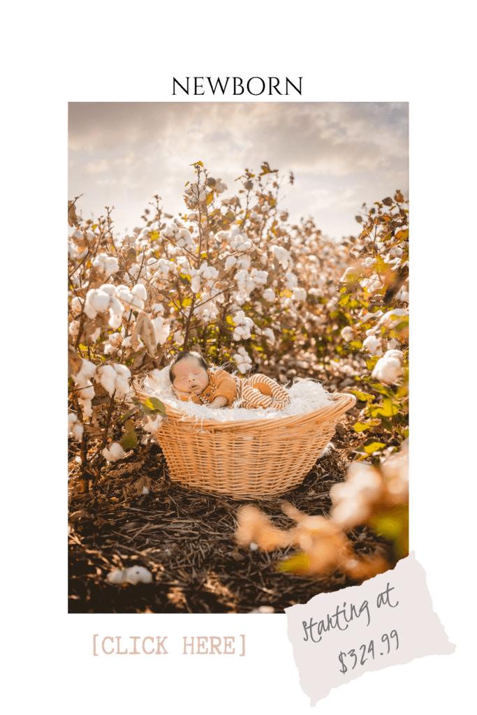 newborn in a basket in outdoor in cotton fields