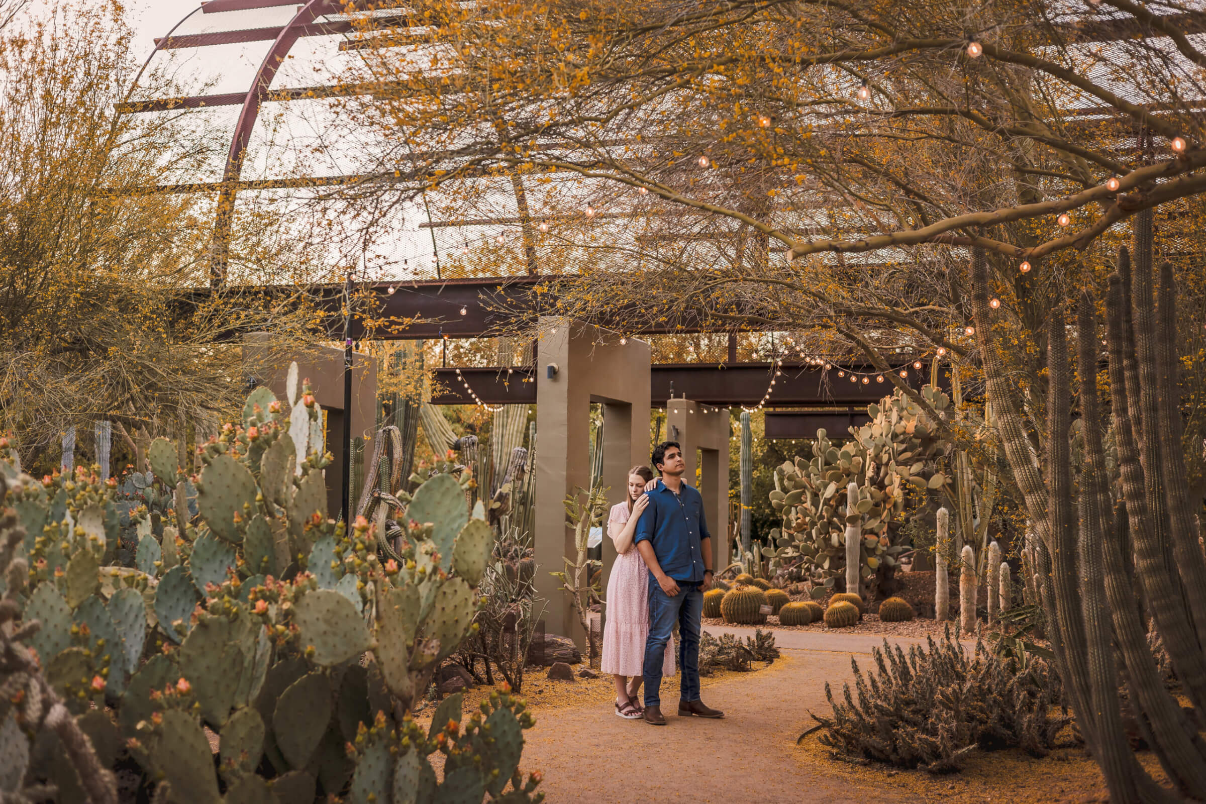 Wide photo of couple in the cactus gardens at the Phoenix Desert Botanical Gardens