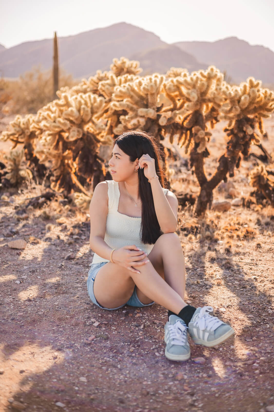 Senior grad session captured by Phoenix photographer with girl sitting amongst golden jumping cholla cactus with the White Tank Mountains in the background.