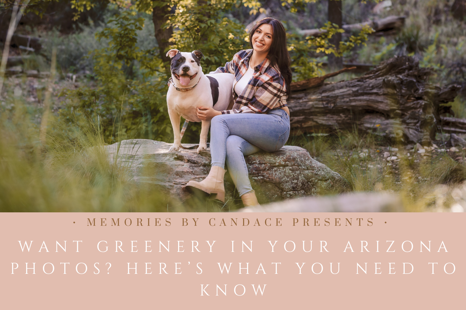 Want Greenery in Your Arizona Photos? Here’s What You Need to Know