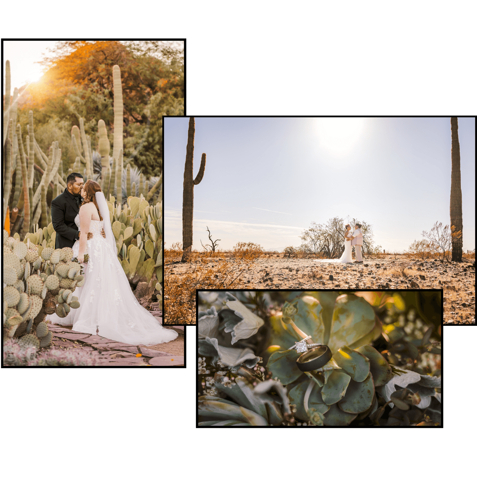 Photo collage of wedding photography photos, first one with couple kissing in the middle of cactus at the desert botanical gardens. Second photo is a couple in the middle of the open desert for a wide cinematic wedding photo and the last photos is of the wedding rings in a succalent.