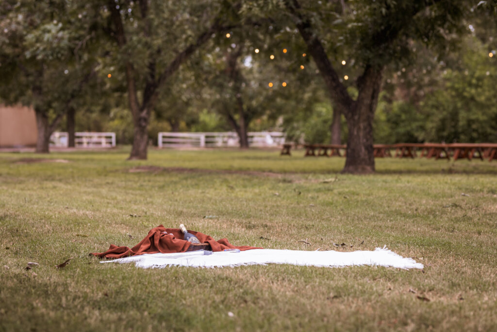 Photo showing picnic blanket surprise proposal set up with champagne and glasses in a basket.